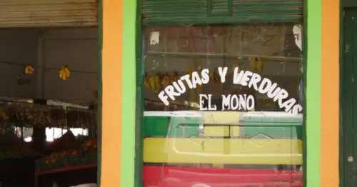 FRUTAS Y VERDURAS EL MONO EL CHARCO RURAL II